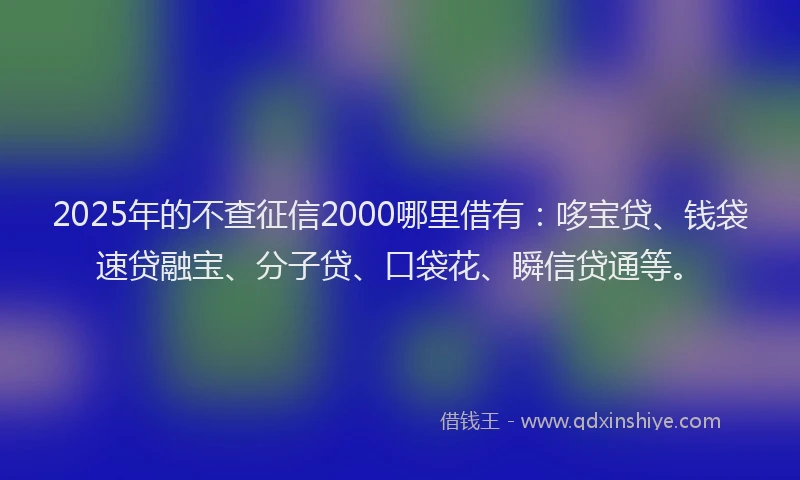 2025年的不查征信2000哪里借有：哆宝贷、钱袋速贷融宝、分子贷、口袋花、瞬信贷通等。