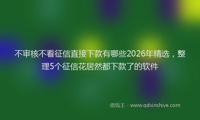 不审核不看征信直接下款有哪些2026年精选，整理5个征信花居然都下款了的软件