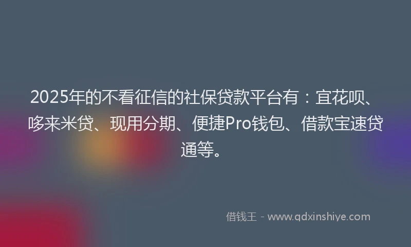 2025年的不看征信的社保贷款平台有：宜花呗、哆来米贷、现用分期、便捷Pro钱包、借款宝速贷通等。