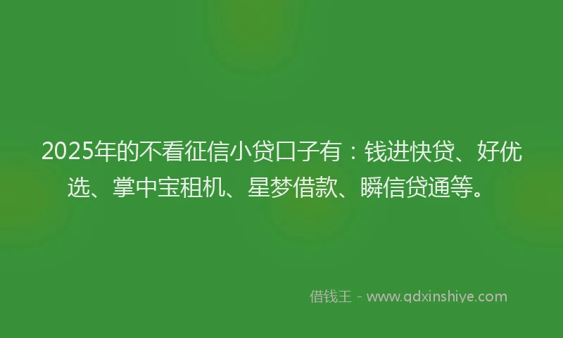 2025年的不看征信小贷口子有：钱进快贷、好优选、掌中宝租机、星梦借款、瞬信贷通等。