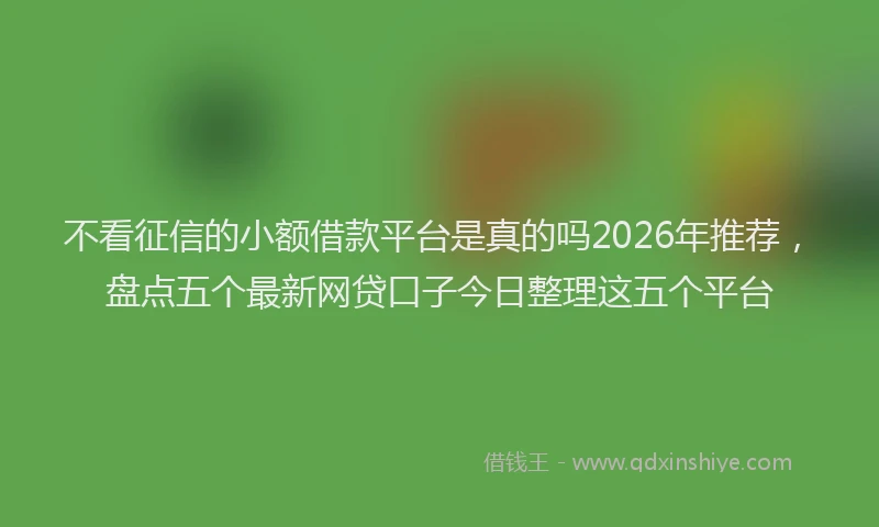 不看征信的小额借款平台是真的吗2026年推荐，盘点五个最新网贷口子今日整理这五个平台