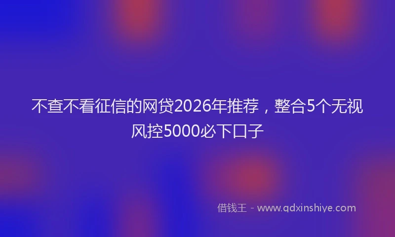 不查不看征信的网贷2026年推荐，整合5个无视风控5000必下口子
