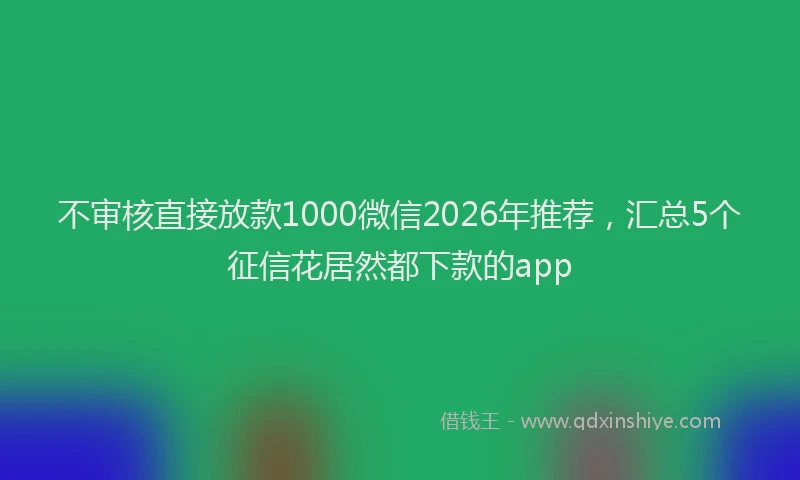 不审核直接放款1000微信2026年推荐，汇总5个征信花居然都下款的app