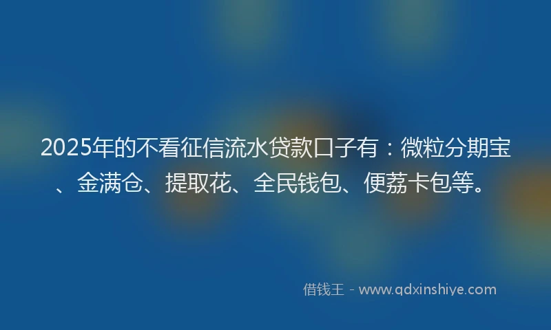 2025年的不看征信流水贷款口子有：微粒分期宝、金满仓、提取花、全民钱包、便荔卡包等。