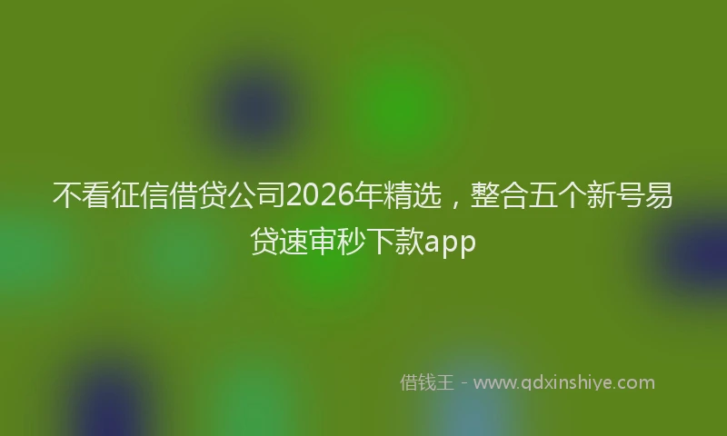 不看征信借贷公司2026年精选，整合五个新号易贷速审秒下款app