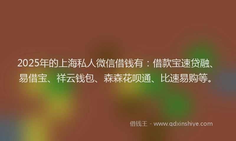 2025年的上海私人微信借钱有:借款宝速贷融、易借宝、祥云钱包、森森花呗通、比速易购等。