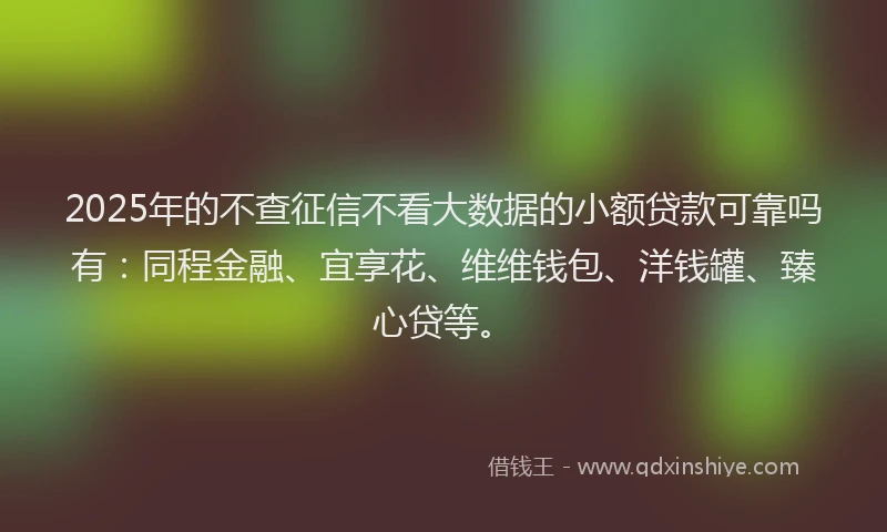 2025年的不查征信不看大数据的小额贷款可靠吗有:同程金融、宜享花、维维钱包、洋钱罐、臻心贷等。