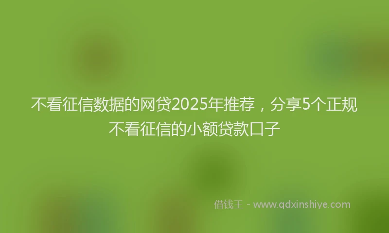 不看征信数据的网贷2025年推荐，分享5个正规不看征信的小额贷款口子