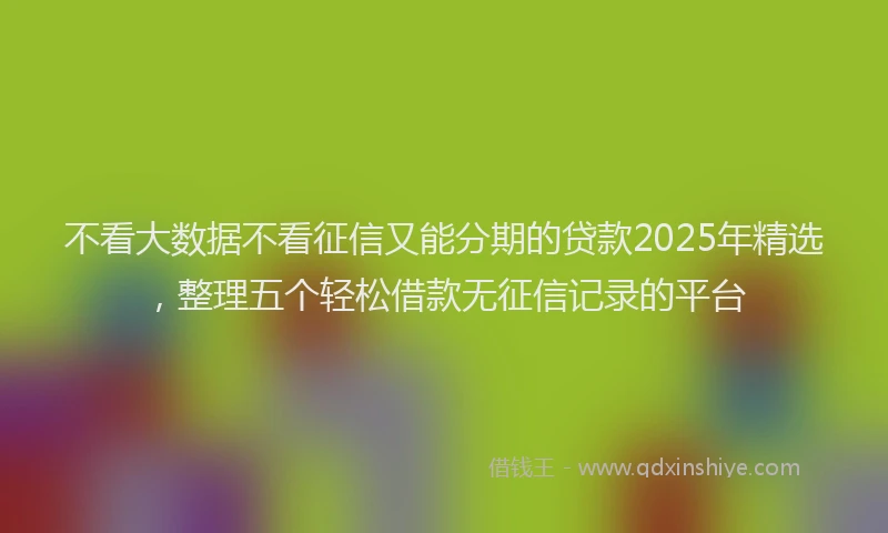 不看大数据不看征信又能分期的贷款2025年精选，整理五个轻松借款无征信记录的平台