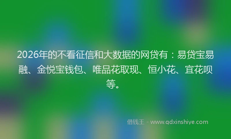 2026年的不看征信和大数据的网贷有：易贷宝易融、金悦宝钱包、唯品花取现、恒小花、宜花呗等。