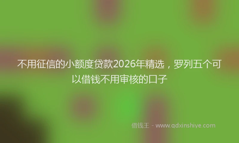不用征信的小额度贷款2026年精选，罗列五个可以借钱不用审核的口子