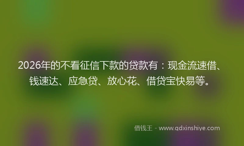 2026年的不看征信下款的贷款有：现金流速借、钱速达、应急贷、放心花、借贷宝快易等。
