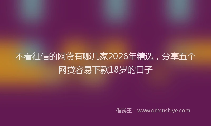 不看征信的网贷有哪几家2026年精选，分享五个网贷容易下款18岁的口子