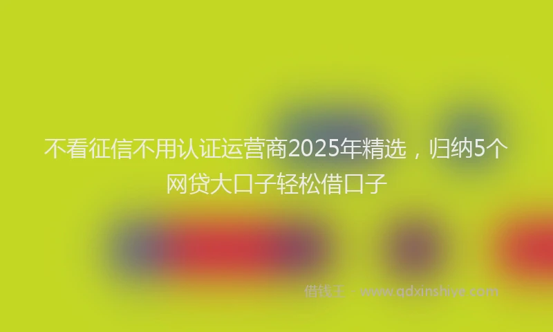 不看征信不用认证运营商2025年精选，归纳5个网贷大口子轻松借口子
