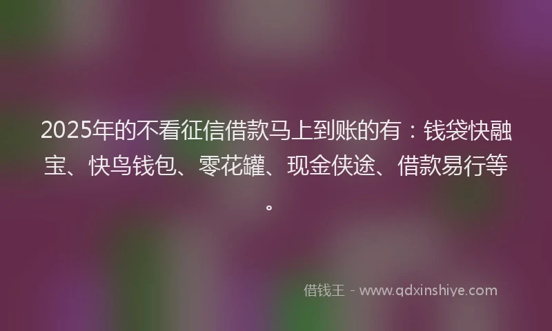 2025年的不看征信借款马上到账的有：钱袋快融宝、快鸟钱包、零花罐、现金侠途、借款易行等。