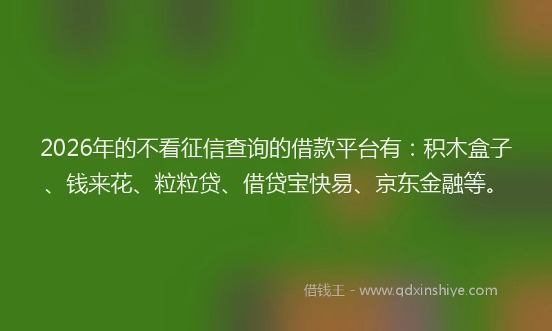 2026年的不看征信查询的借款平台有：积木盒子、钱来花、粒粒贷、借贷宝快易、京东金融等。