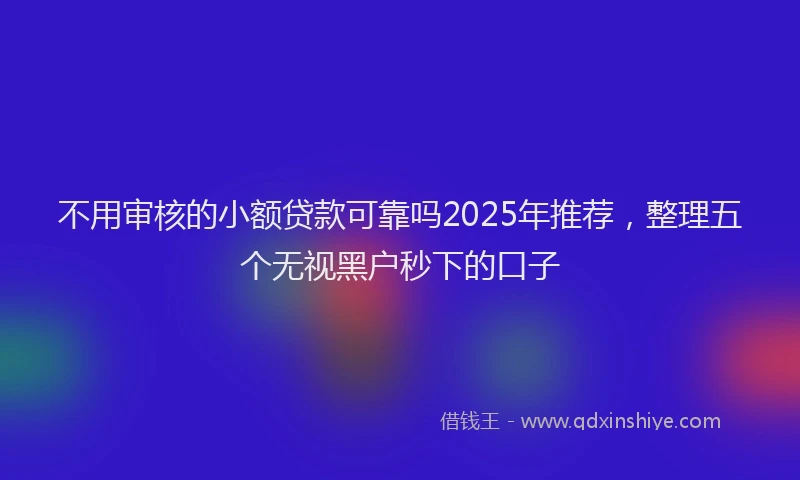 不用审核的小额贷款可靠吗2025年推荐，整理五个无视黑户秒下的口子