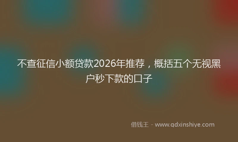 不查征信小额贷款2026年推荐，概括五个无视黑户秒下款的口子