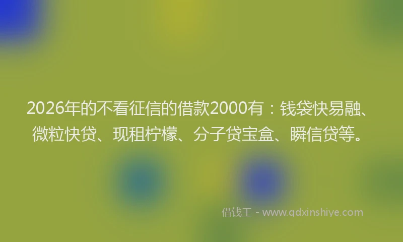 2026年的不看征信的借款2000有：钱袋快易融、微粒快贷、现租柠檬、分子贷宝盒、瞬信贷等。