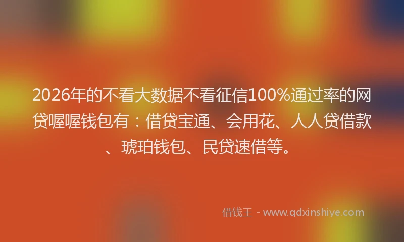 2026年的不看大数据不看征信100%通过率的网贷喔喔钱包有：借贷宝通、会用花、人人贷借款、琥珀钱包、民贷速借等。