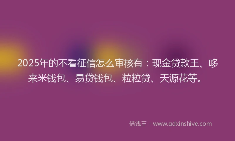 2025年的不看征信怎么审核有：现金贷款王、哆来米钱包、易贷钱包、粒粒贷、天源花等。
