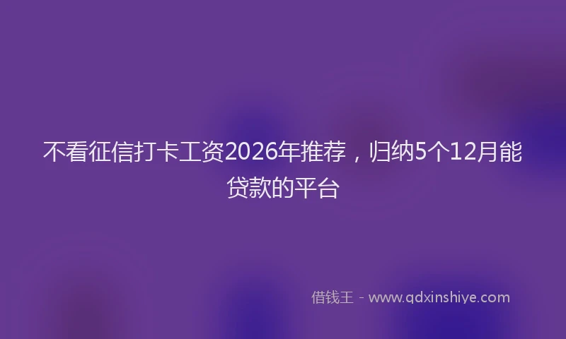 不看征信打卡工资2026年推荐，归纳5个12月能贷款的平台