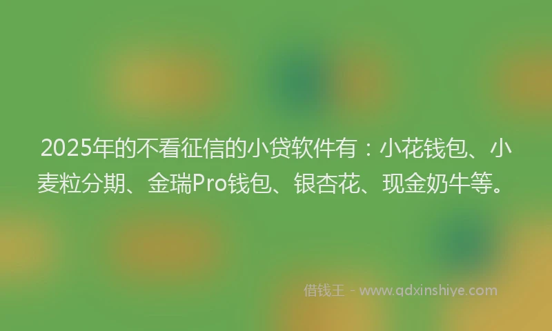 2025年的不看征信的小贷软件有：小花钱包、小麦粒分期、金瑞Pro钱包、银杏花、现金奶牛等。