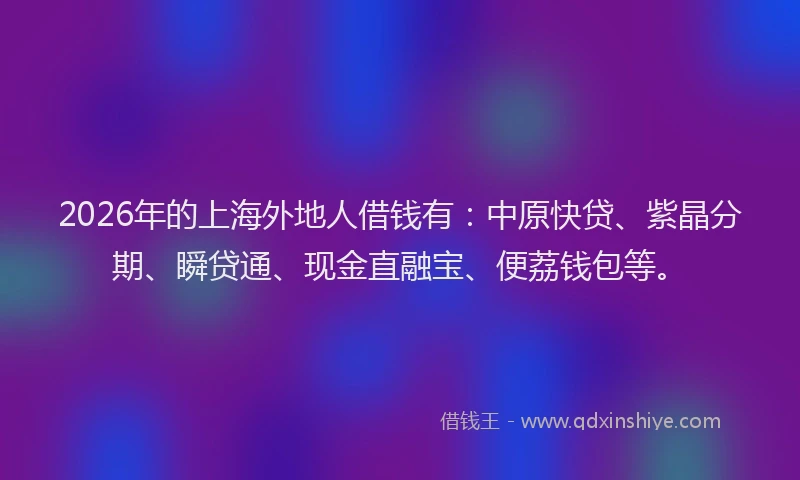 2026年的上海外地人借钱有:中原快贷、紫晶分期、瞬贷通、现金直融宝、便荔钱包等。