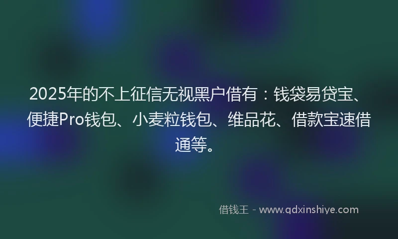 2025年的不上征信无视黑户借有：钱袋易贷宝、便捷Pro钱包、小麦粒钱包、维品花、借款宝速借通等。