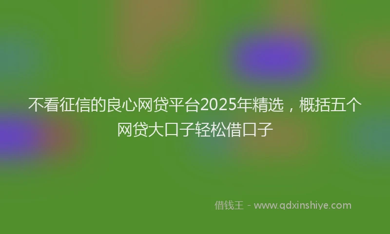 不看征信的良心网贷平台2025年精选，概括五个网贷大口子轻松借口子