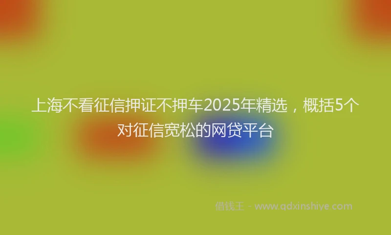 上海不看征信押证不押车2025年精选，概括5个对征信宽松的网贷平台
