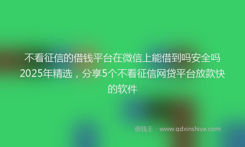 不看征信的借钱平台在微信上能借到吗安全吗2025年精选，分享5个不看征信网贷平台放款快的软件