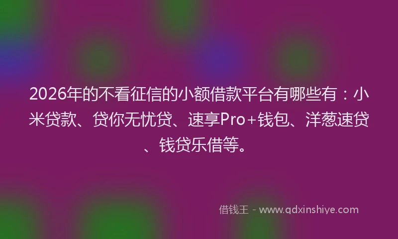 2026年的不看征信的小额借款平台有哪些有：小米贷款、贷你无忧贷、速享Pro+钱包、洋葱速贷、钱贷乐借等。