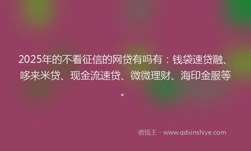 2025年的不看征信的网贷有吗有：钱袋速贷融、哆来米贷、现金流速贷、微微理财、海印金服等。
