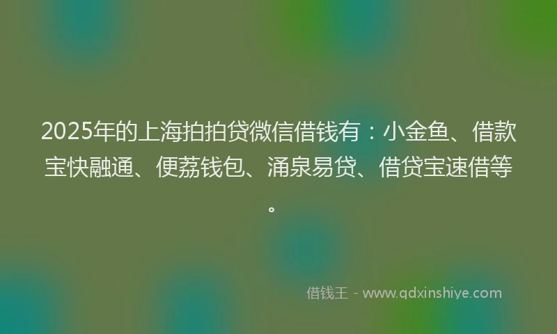 2025年的上海拍拍贷微信借钱有：小金鱼、借款宝快融通、便荔钱包、涌泉易贷、借贷宝速借等。