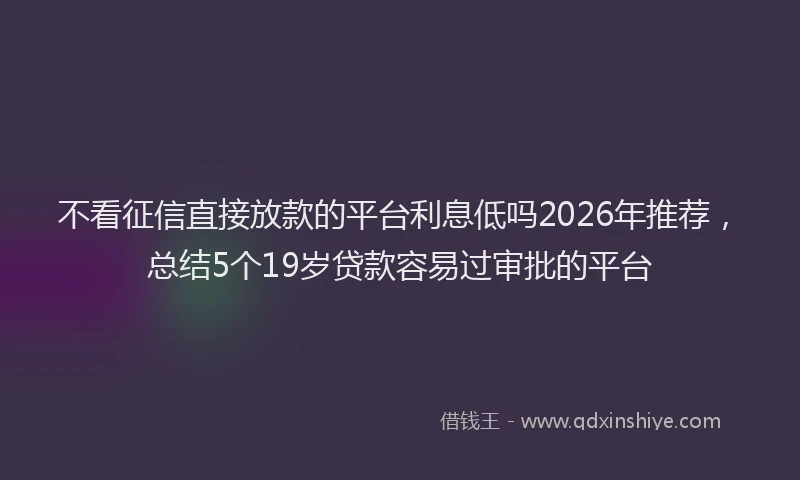 不看征信直接放款的平台利息低吗2026年推荐，总结5个19岁贷款容易过审批的平台