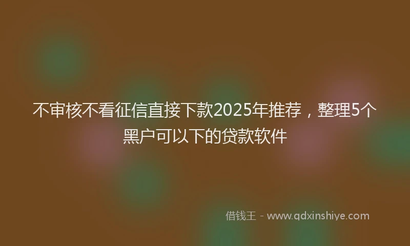 不审核不看征信直接下款2025年推荐，整理5个黑户可以下的贷款软件