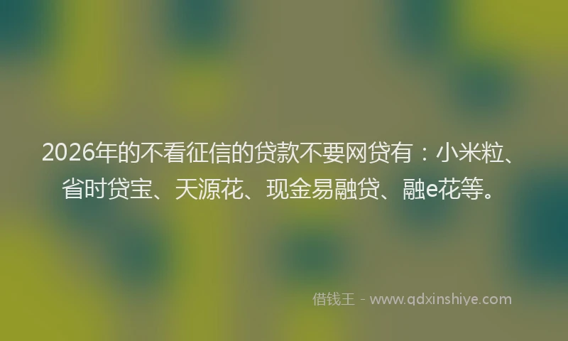 2026年的不看征信的贷款不要网贷有：小米粒、省时贷宝、天源花、现金易融贷、融e花等。