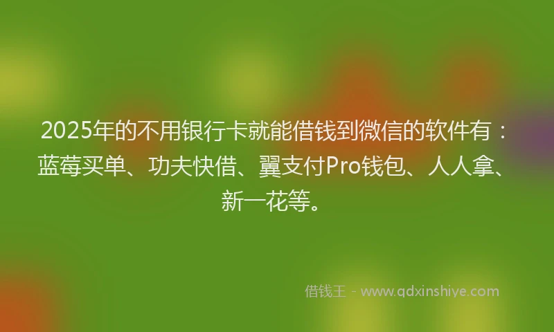 2025年的不用银行卡就能借钱到微信的软件有：蓝莓买单、功夫快借、翼支付Pro钱包、人人拿、新一花等。