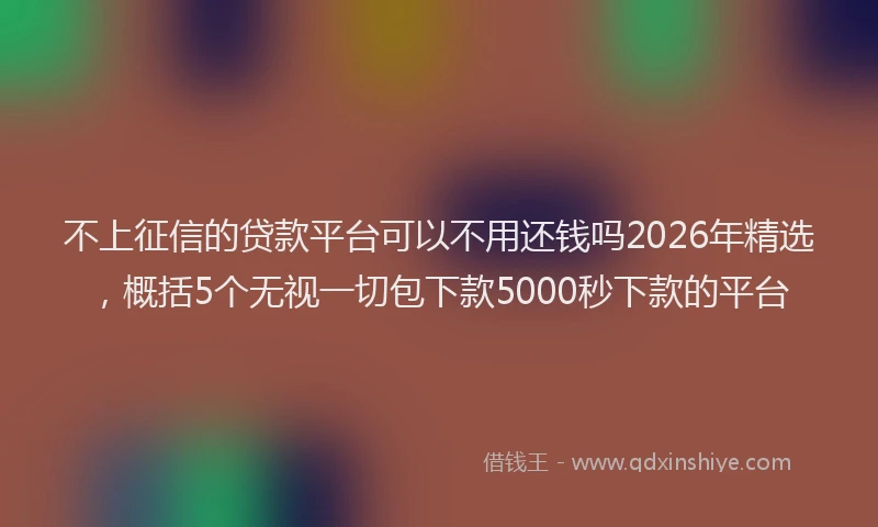 不上征信的贷款平台可以不用还钱吗2026年精选,概括5个无视一切包下款5000秒下款的平台