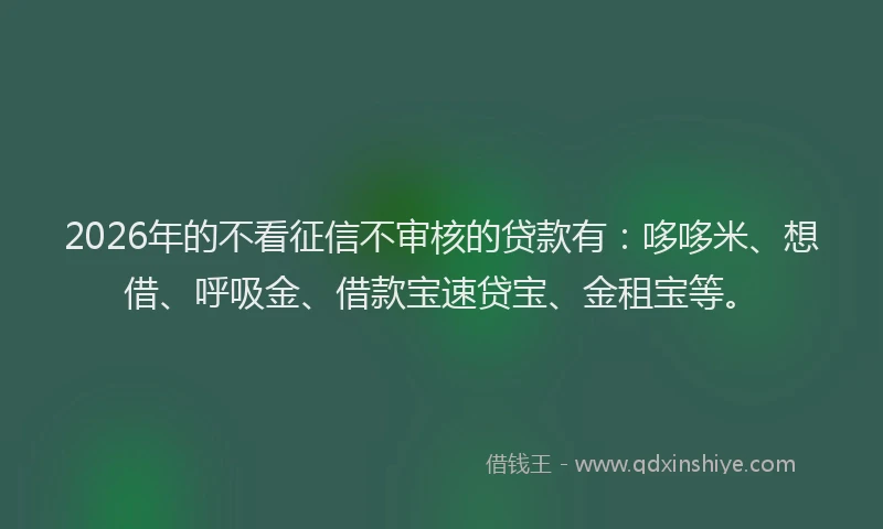 2026年的不看征信不审核的贷款有：哆哆米、想借、呼吸金、借款宝速贷宝、金租宝等。