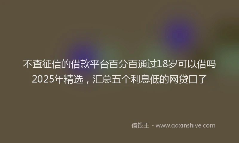不查征信的借款平台百分百通过18岁可以借吗2025年精选，汇总五个利息低的网贷口子