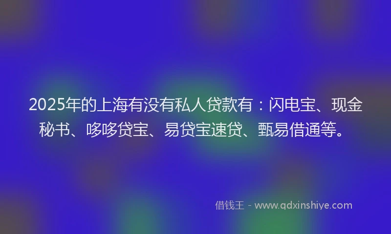 2025年的上海有没有私人贷款有：闪电宝、现金秘书、哆哆贷宝、易贷宝速贷、甄易借通等。