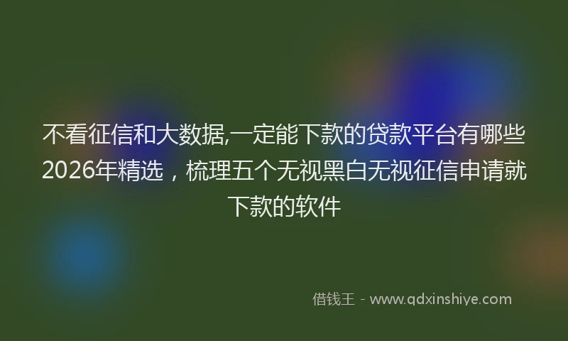 不看征信和大数据,一定能下款的贷款平台有哪些2026年精选，梳理五个无视黑白无视征信申请就下款的软件