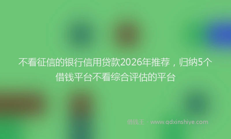 不看征信的银行信用贷款2026年推荐,归纳5个借钱平台不看综合评估的平台
