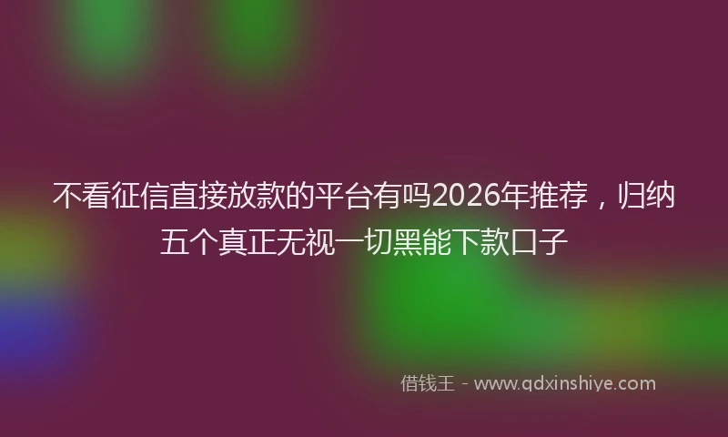 不看征信直接放款的平台有吗2026年推荐，归纳五个真正无视一切黑能下款口子