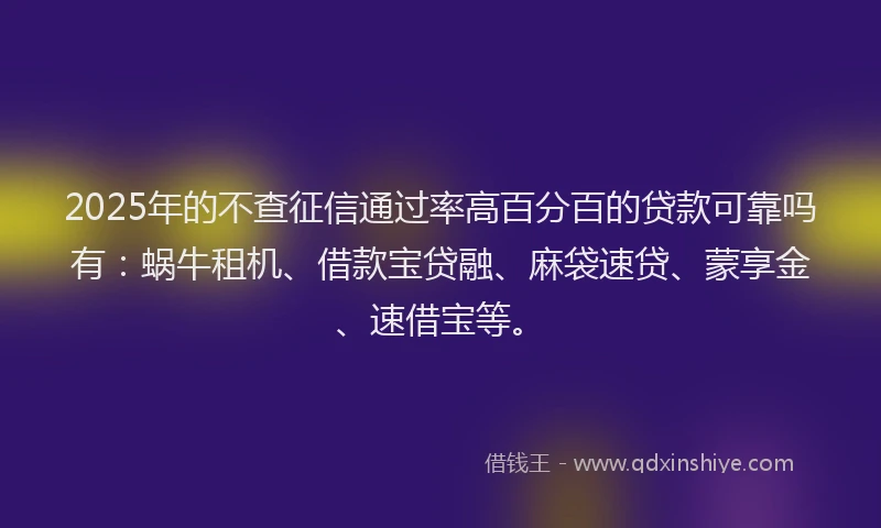 2025年的不查征信通过率高百分百的贷款可靠吗有：蜗牛租机、借款宝贷融、麻袋速贷、蒙享金、速借宝等。