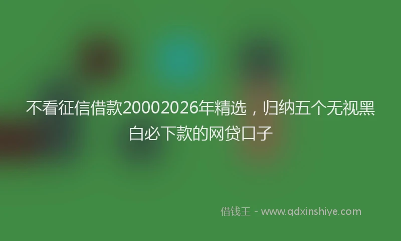 不看征信借款20002026年精选，归纳五个无视黑白必下款的网贷口子