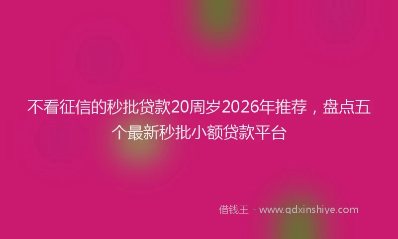 不看征信的秒批贷款20周岁2026年推荐，盘点五个最新秒批小额贷款平台