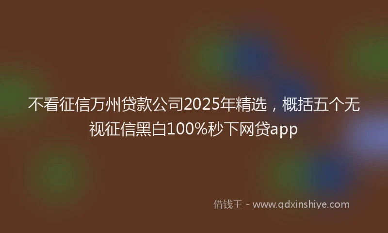 不看征信万州贷款公司2025年精选，概括五个无视征信黑白100%秒下网贷app
